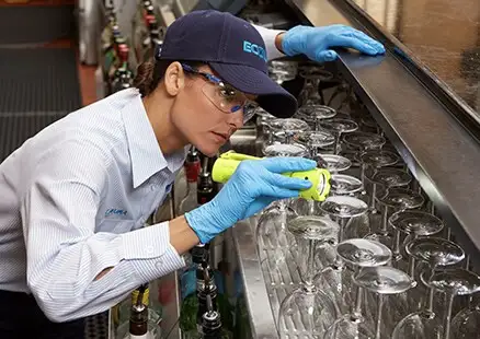 Ongediertebestrijding in de horeca - Eversor