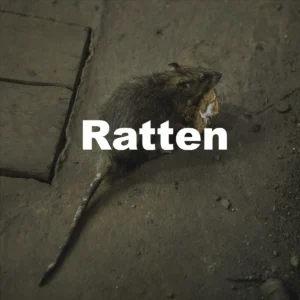 Ratten